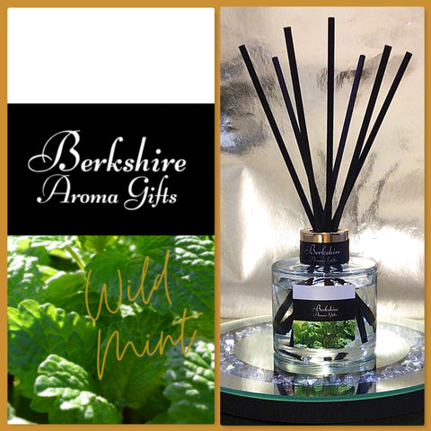 Wild Mint 100ml - Classic Reed Diffuser - Customers Choice